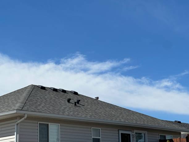 Best Metal Roofing Installation  in Loves Park, IL